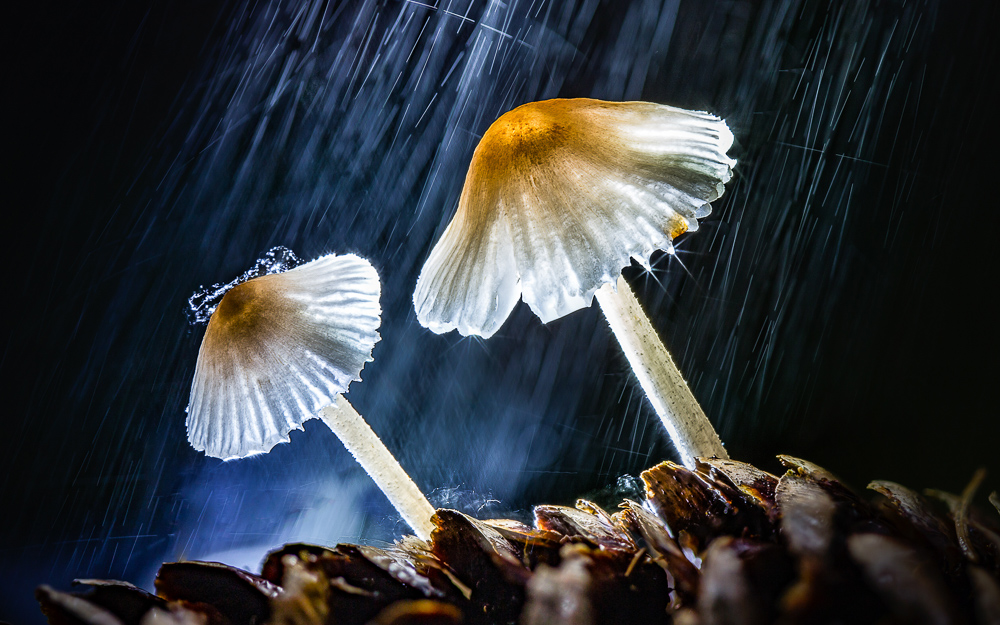 Platz 5 Christoph Lindau